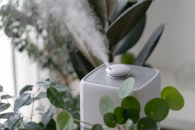 The Benefits of Using Air Purifiers