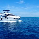 Leasing vs. Financing: What’s the Best Way to Get on the Water?