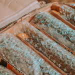 ABC Money | Learning a new language: seven reasons to do it