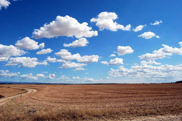 Flipping Vacant Land: How to Make Money Out of It