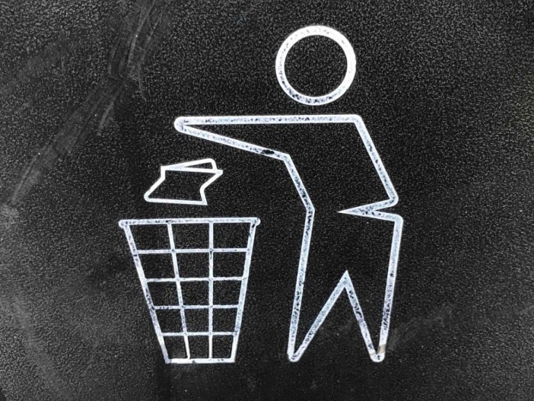 Reasons Why Hiring a Skip Bin is Beneficial for Your Business