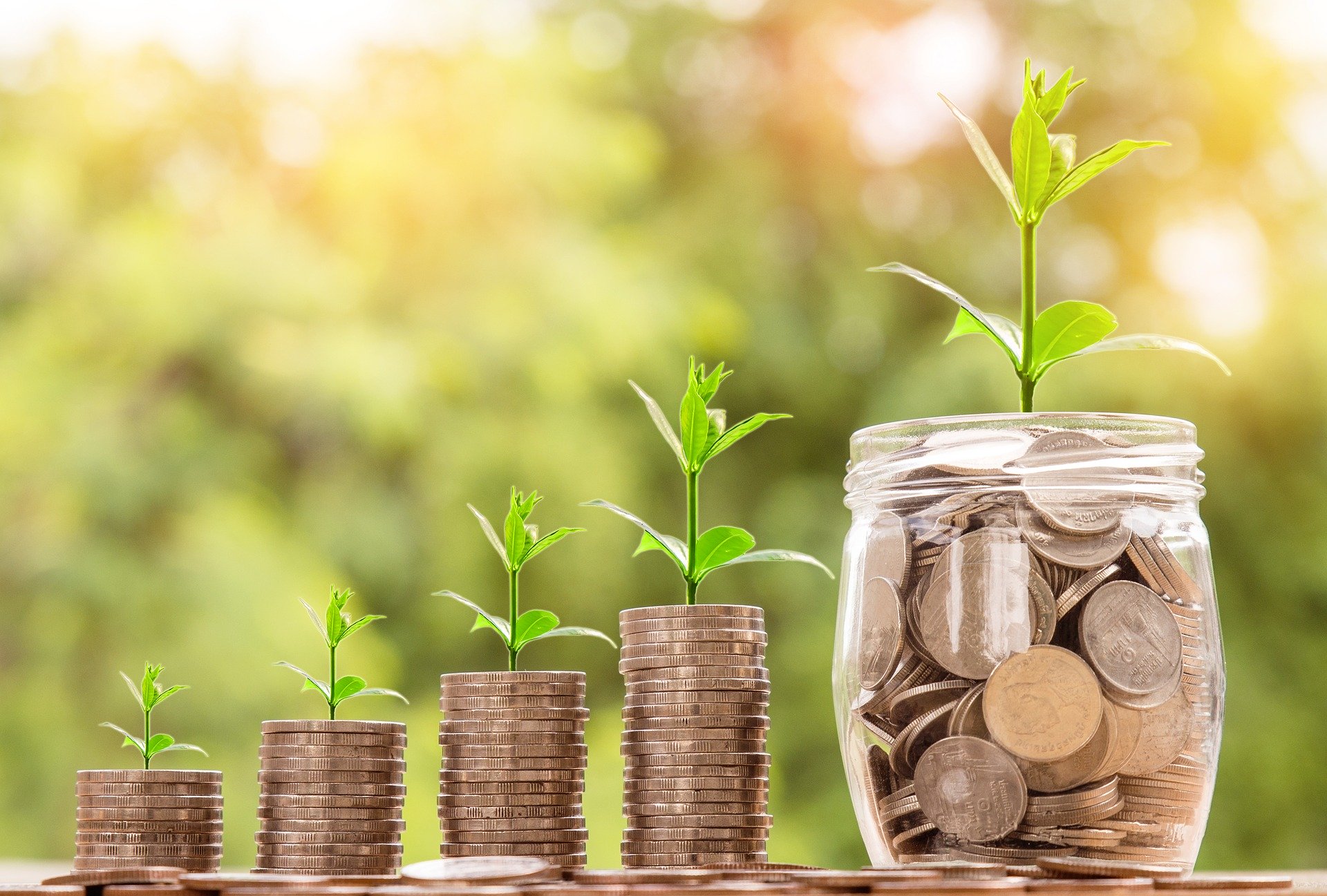 Understanding Banking in New Zealand