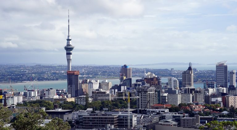 The Best Online Gaming Hubs New Zealand