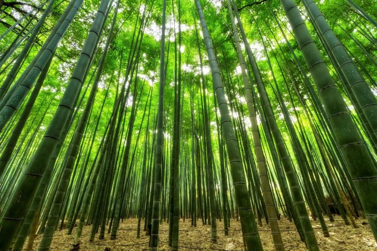 2 x Eco-Friendly Brands That Are Taking Off
