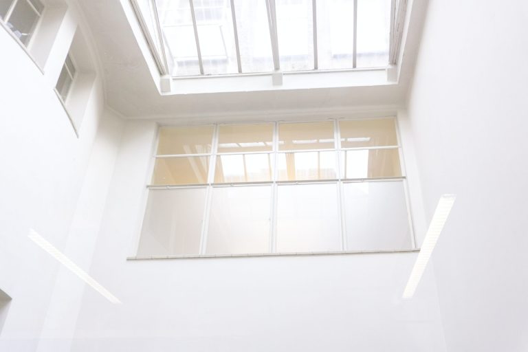 Choosing A Roof Glazing Type for Your Project