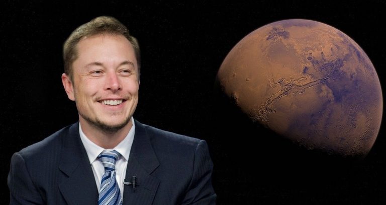 The Elon Musk Effect