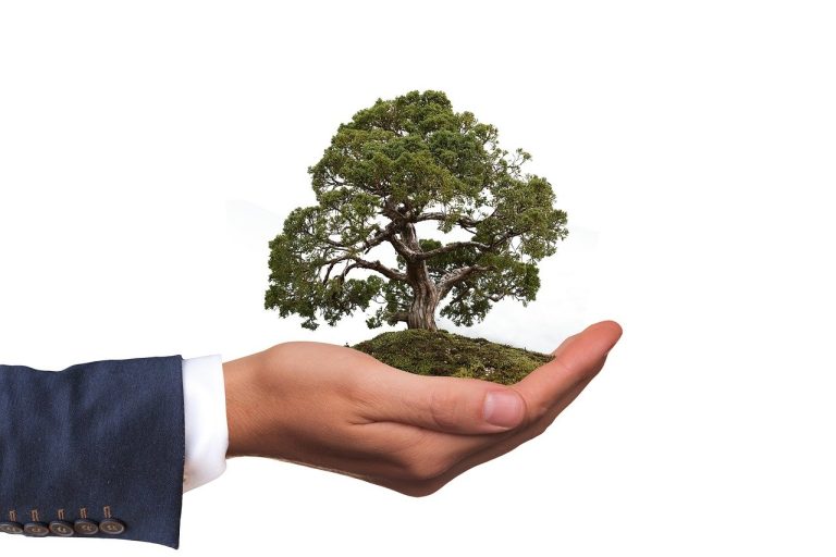 Small business owner? 4 ways to reduce your environmental footprint