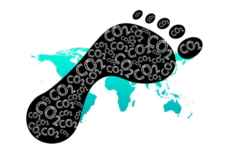 How to Lower your Carbon Footprint