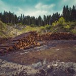 ABC Money | Why your business should be investing in a digital marketing strategy in 2021