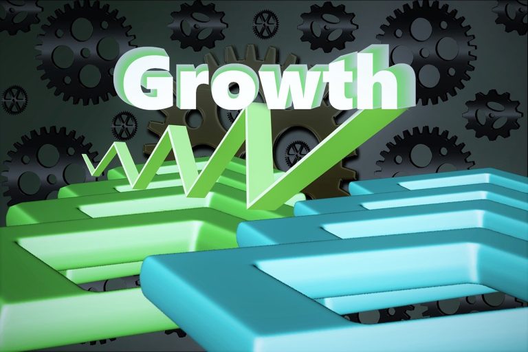 Building Momentum: The Art of a Purposeful Business Growth Plan