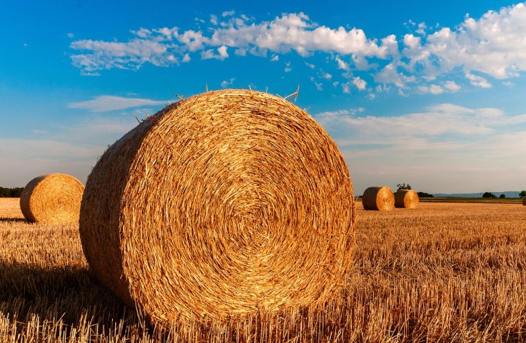 What Will Farming Look Like In An Eco-Friendly, Post-Covid World