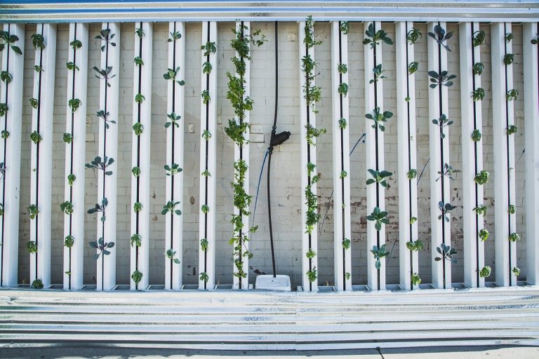 Fascinating Facts About Vertical Grow Lights