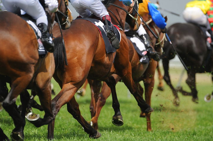 8 Things They Don’t Tell You About Horse Racing