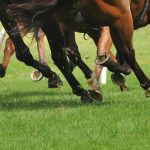 In-play betting, also known as live betting, has transformed the way bettors engage with horse racing.