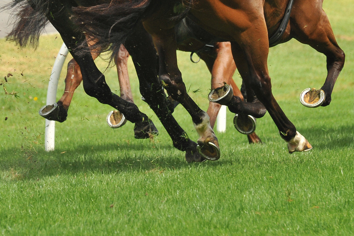 In-play betting, also known as live betting, has transformed the way bettors engage with horse racing.