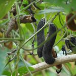 ABC Money | How to spot a shrewd art investment opportunity