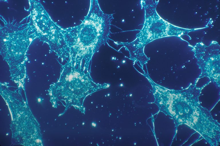 Where can I find free NCERT solutions for class 11 biology?