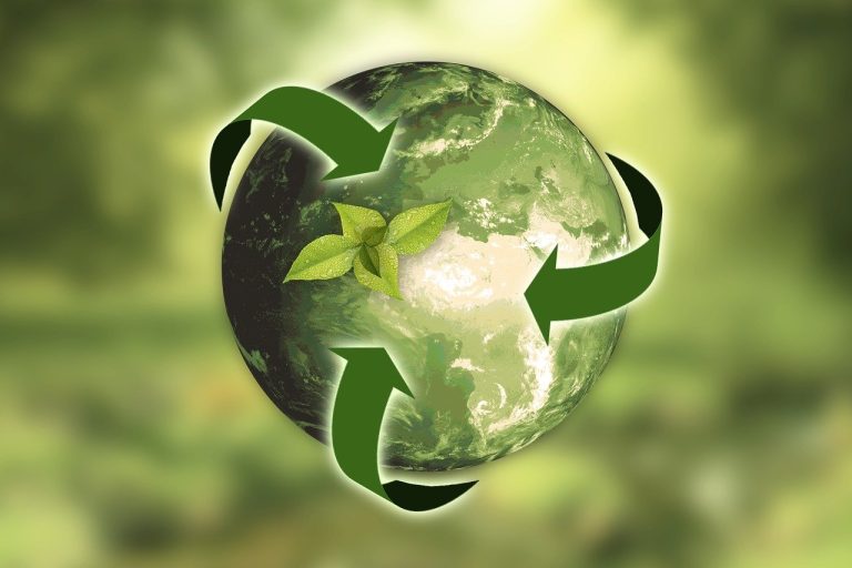 The Importance of Investing in Companies That Support Circular Economy