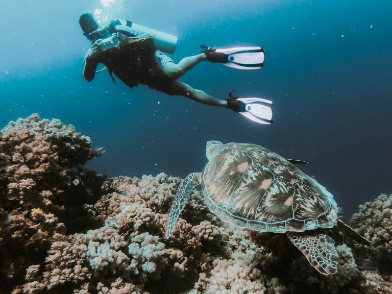 Scuba’s Paradise: The 3 Best Destinations to Learn to Dive in Retirement