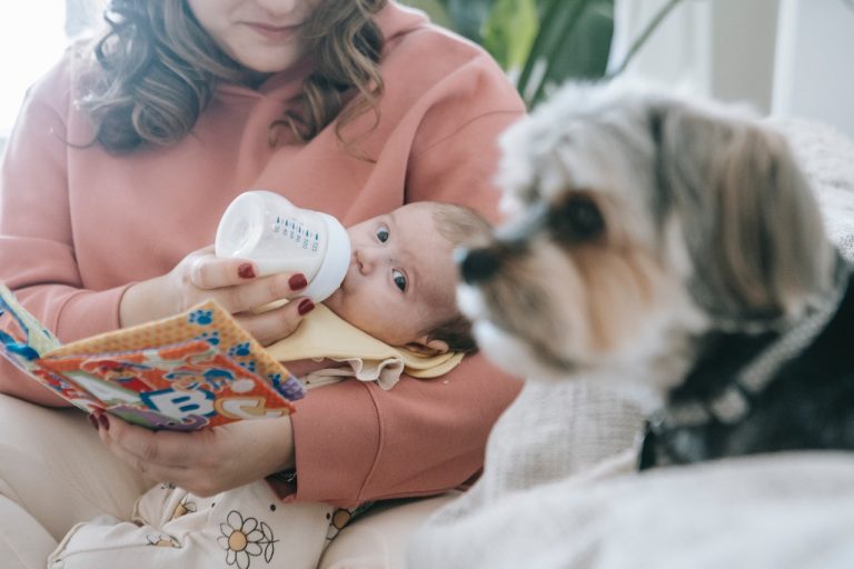 How to use organic baby formula?