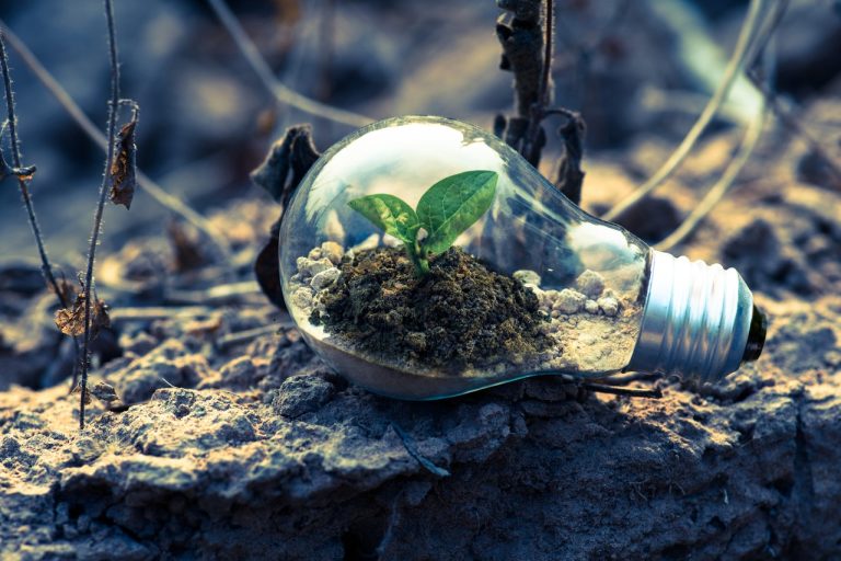 Socially responsible investing: is it possible?