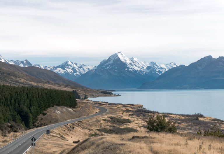 Setup company in New Zealand: Top benefits