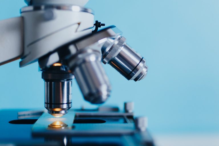 From Scientific Discovery to Patient Access: The Path of New Medicines