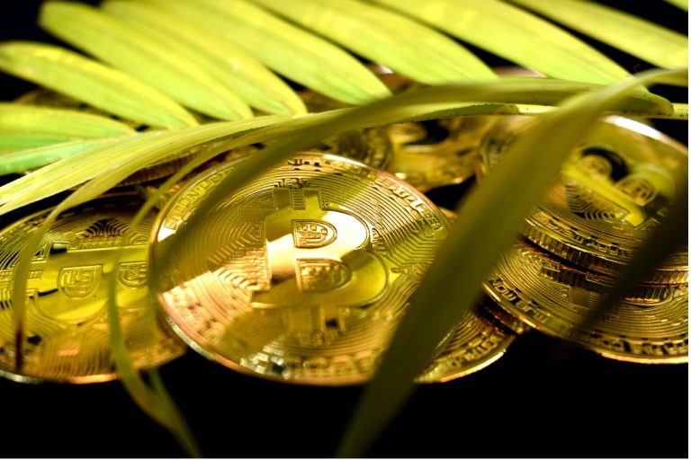 What Green Coins Really Are and Why Environmental Concerns Might Force Bitcoin Investors To Sell