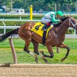 ABC Money | Viderium Pays Investors for 2nd Quarter of 2018