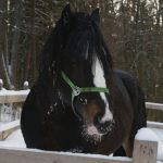 ABC Money | Everyone knows Christmas is expensive, but how much extra cost is caused by preventable energy use?