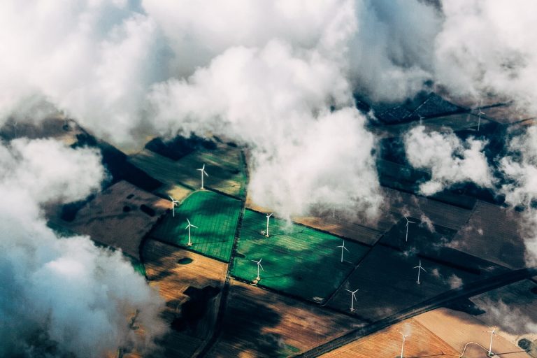 What does sustainability mean to you?