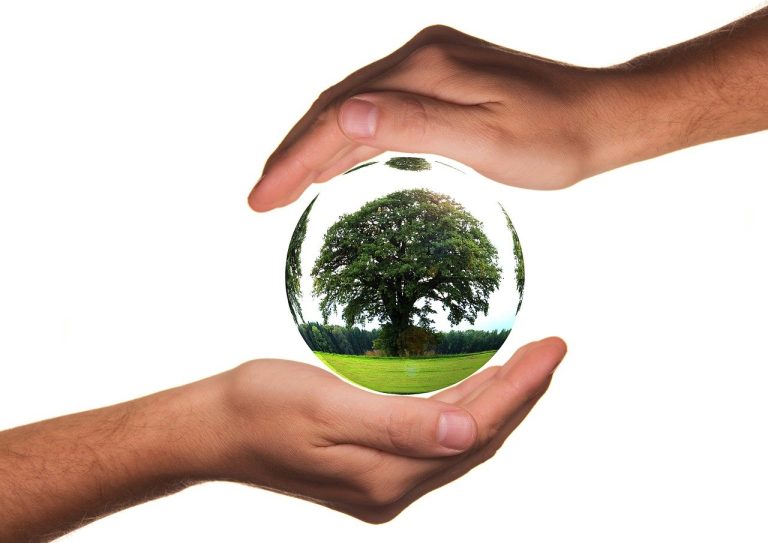 Utility Warehouse gets their hands dirty with Green Initiatives