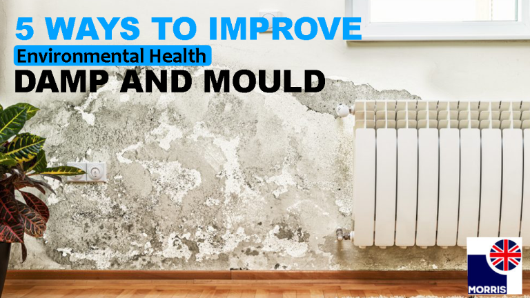 5 Ways to Improve Environmental Health Damp and Mould