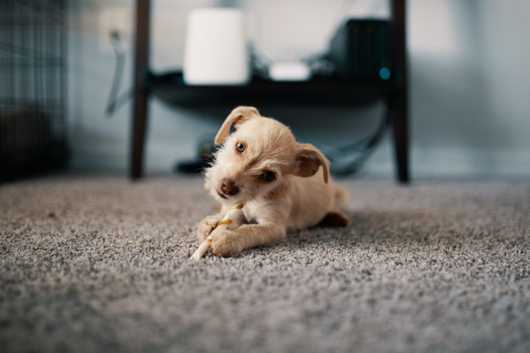 Carpet Cleaning in North London – Is it More Expensive