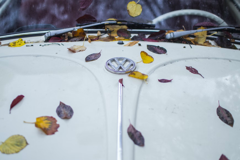 Popular durable and economical Volkswagen TDI engines. How have they changed over time?