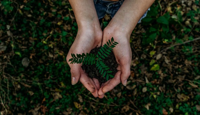 Ivo Bozukov: Market Your Sustainable Business
