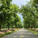 A Guide to Tucker's Historic Sites and Cultural Treasures