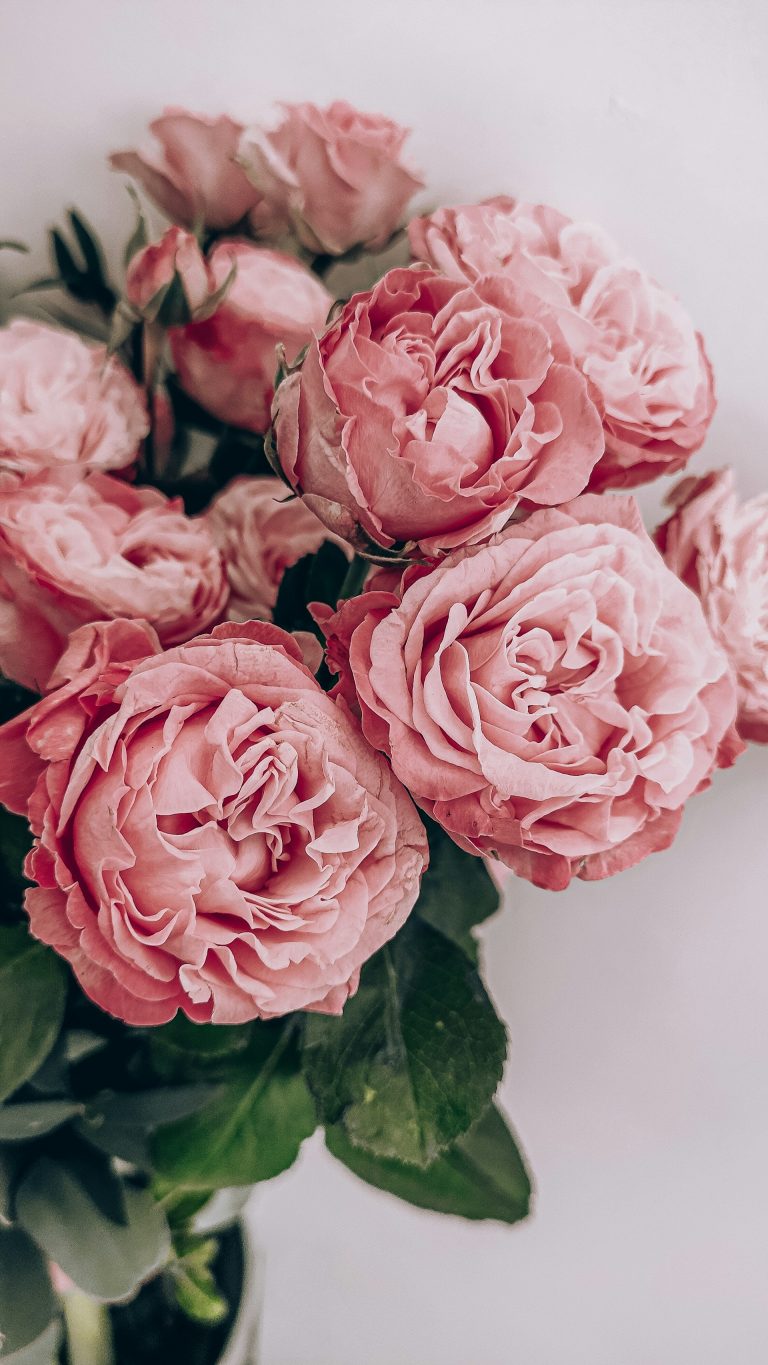 4 Reasons The Million Roses Has Forever Disrupted the Greater Floral Industry