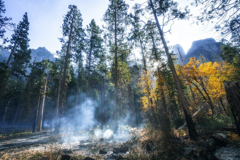 Storms Brewing: Is it Time to Take The Impact of Climate Change on Soft Commodities Seriously?