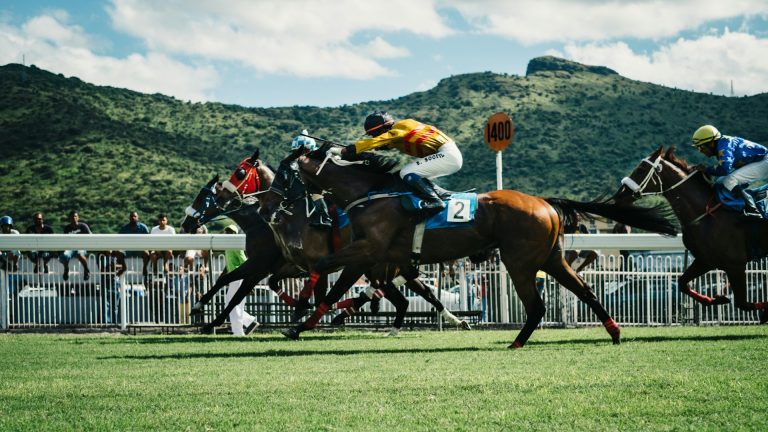 Exploring the Top Jumps Races in British Horse Racing