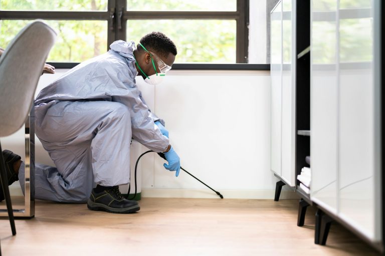 How to Protect Your Storage Spaces from Pest Infestations