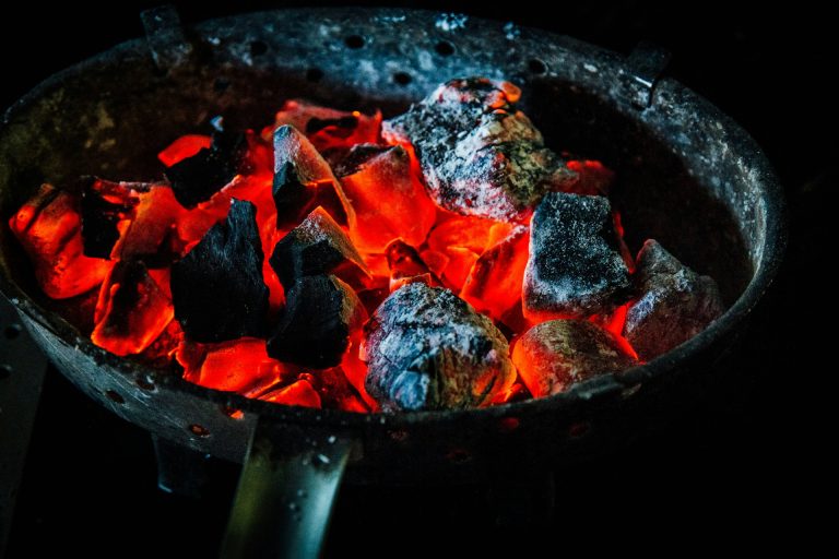 Exploring the Benefits of Binchotan: The World’s Finest Charcoal