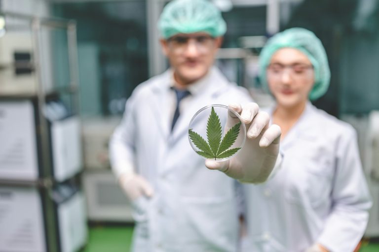 Medical Cannabis Sparks Innovation and New Opportunities in Business