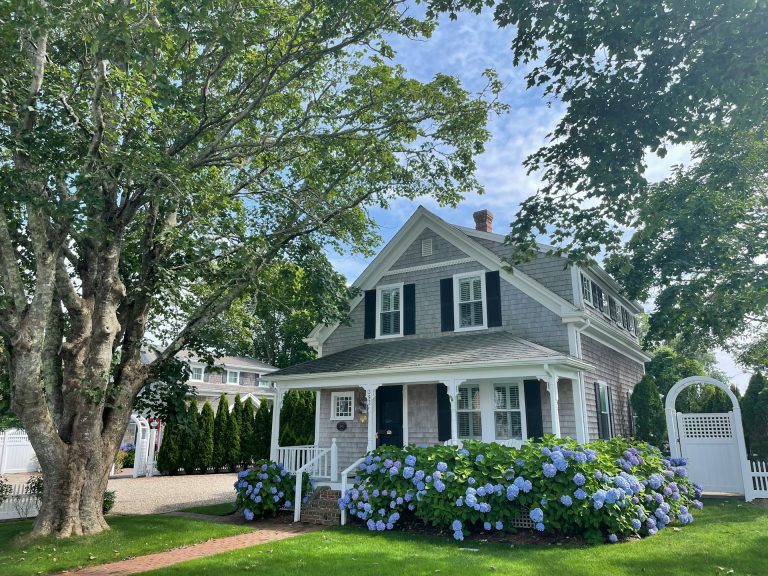 Boost Your Home’s Curb Appeal: Transform Your Garden with Innovative Tools and Technology