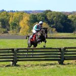 Is Horse Racing A Lucrative Hobby: Dos and Don’ts