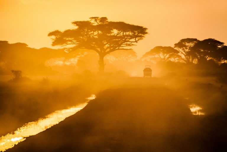 Why Baldwins Travel is the Ultimate Safari Travel Expert in the South East: Exploring Excellence in Adventure Planning