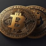 Blob Bounces Back Crypto Market