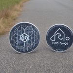 Camino Network Token Surges