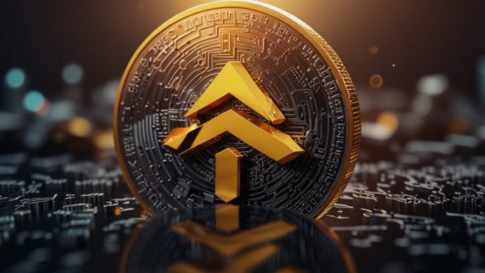 BNB Rises