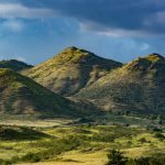 Turning Vacant Land into Profit